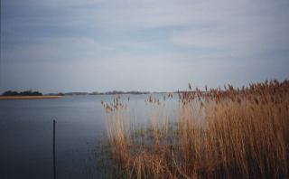 Boddenlandschaft Schoritzer Wiek Greifswalder Bodden Ostsee